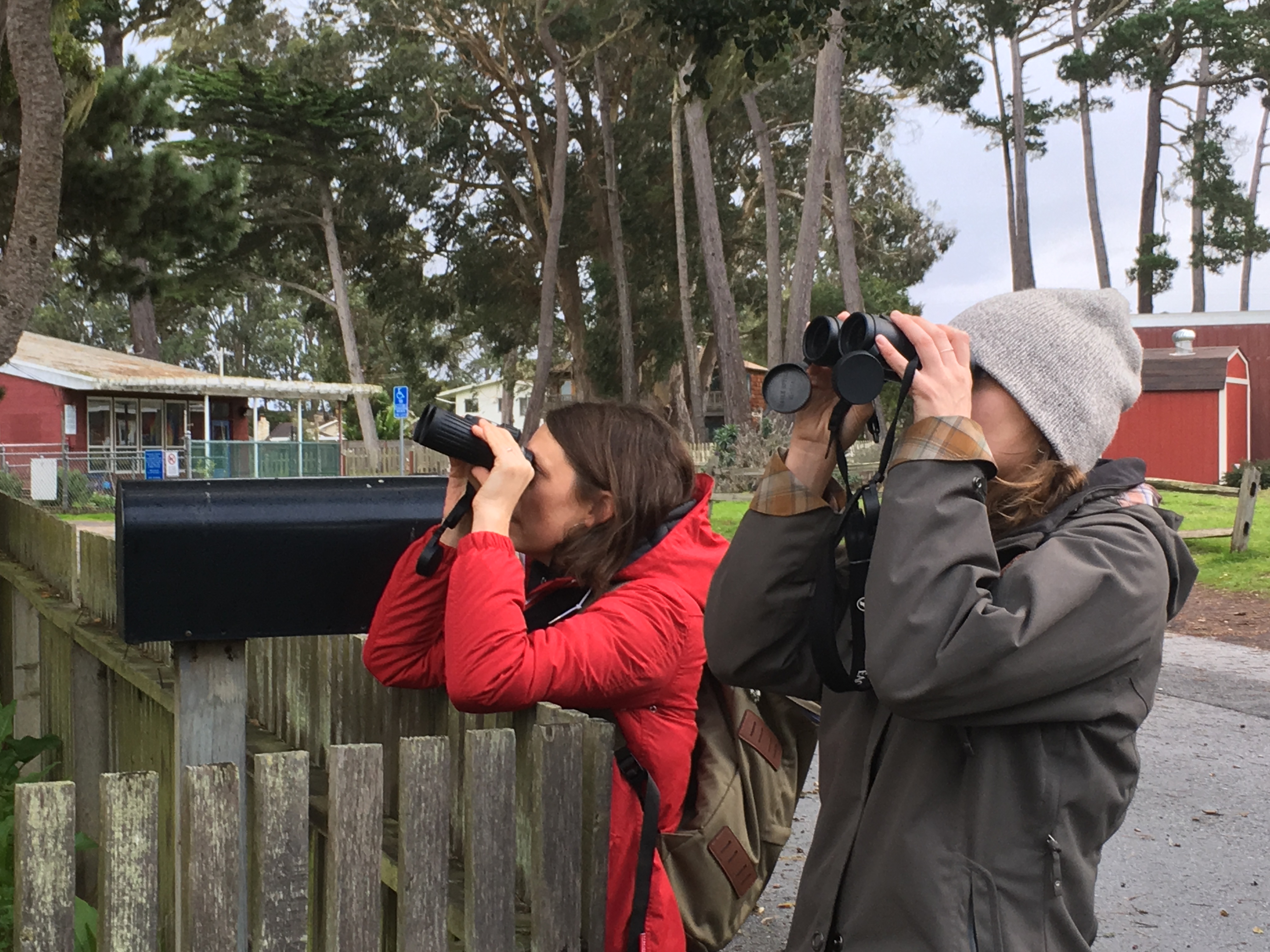 Two women, wearing knit hats and coats, lean against a wooden fence in a treed area, looking into the distance with binoculars.
