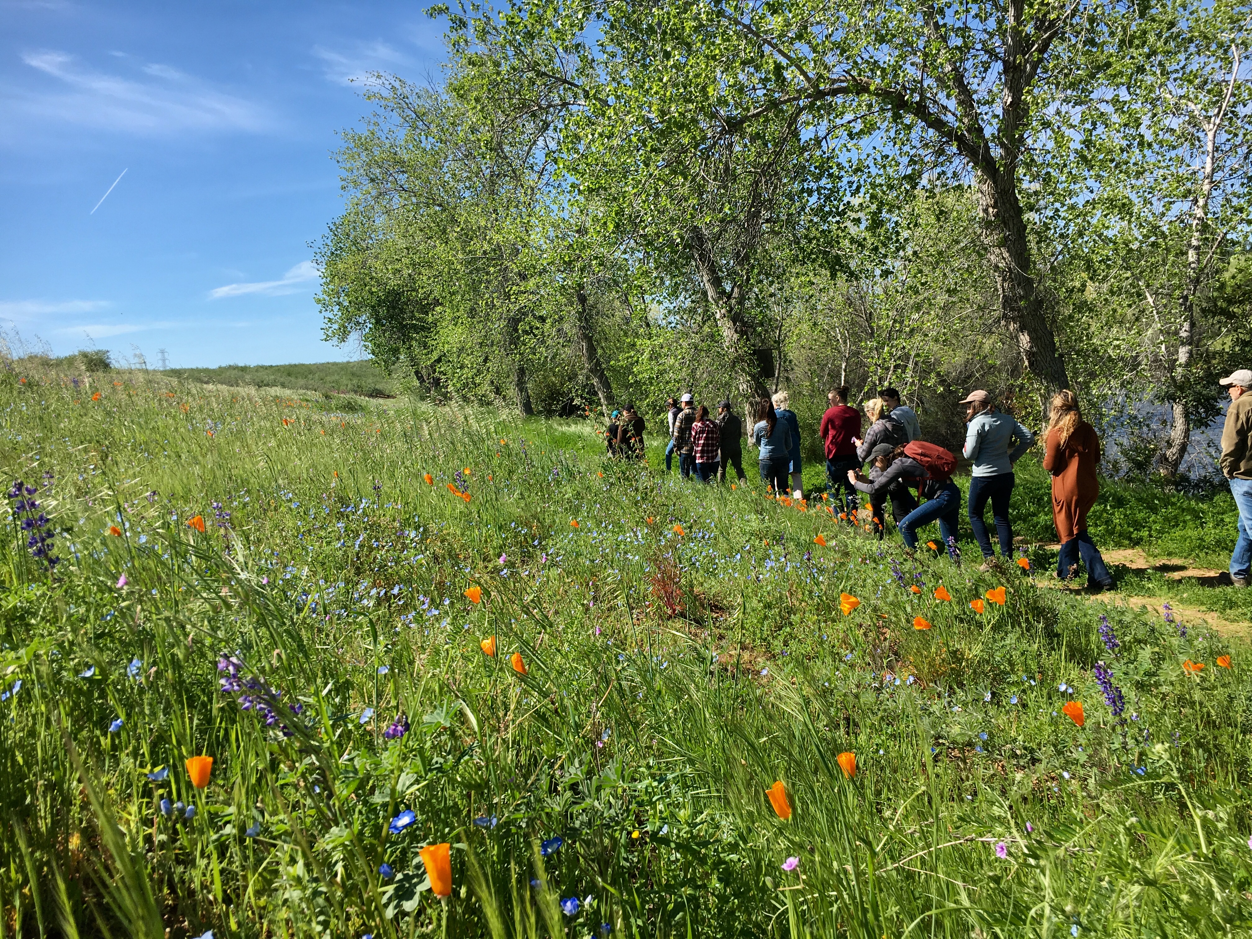 At the base of a round hill studded with colorful flowers, a group of people walks in single file.