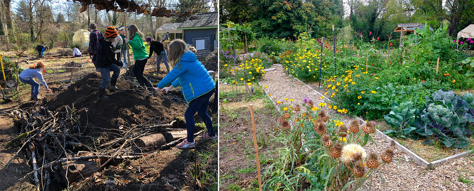 On the left, students stand atop mounds of earth and branches, as they compact them. On the right, the garden after the mounds were finished, with a gently-rolling surface covered in flower beds with colorful blooms.