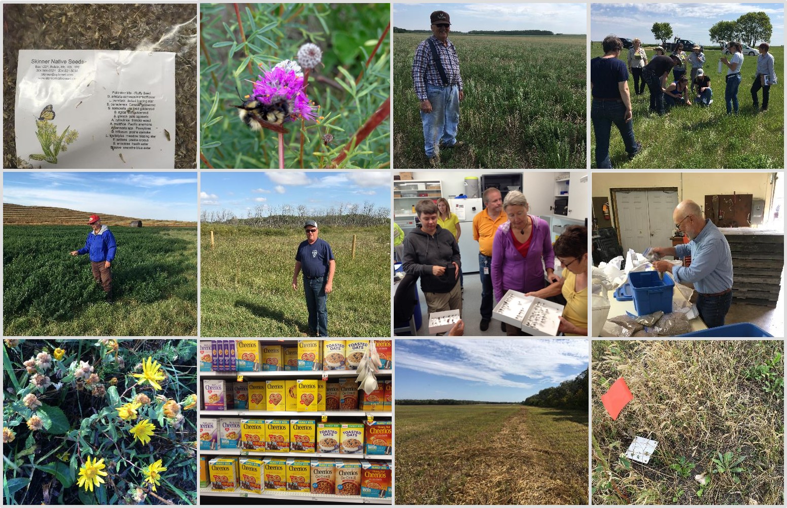 A collaged collection of photos depicts farmland, people talking in a lab, bees on flowers, and more.