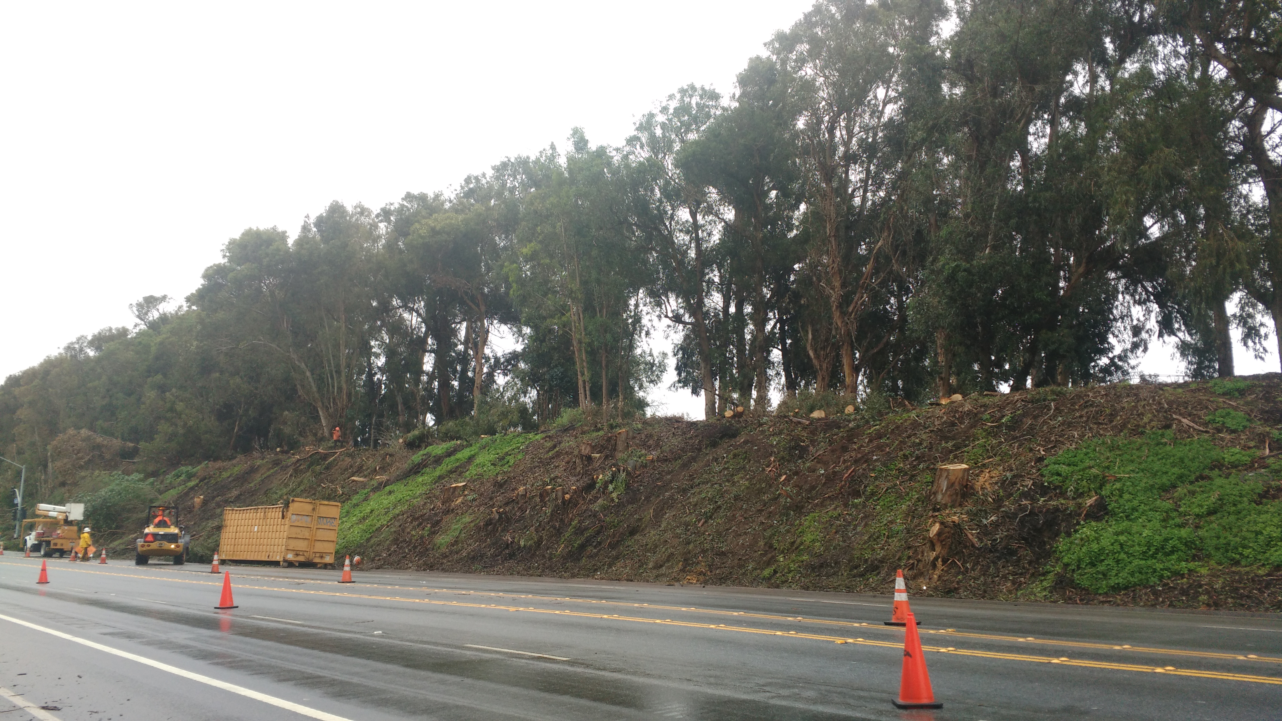 This photo shows roadside crews removing trees on a slope.