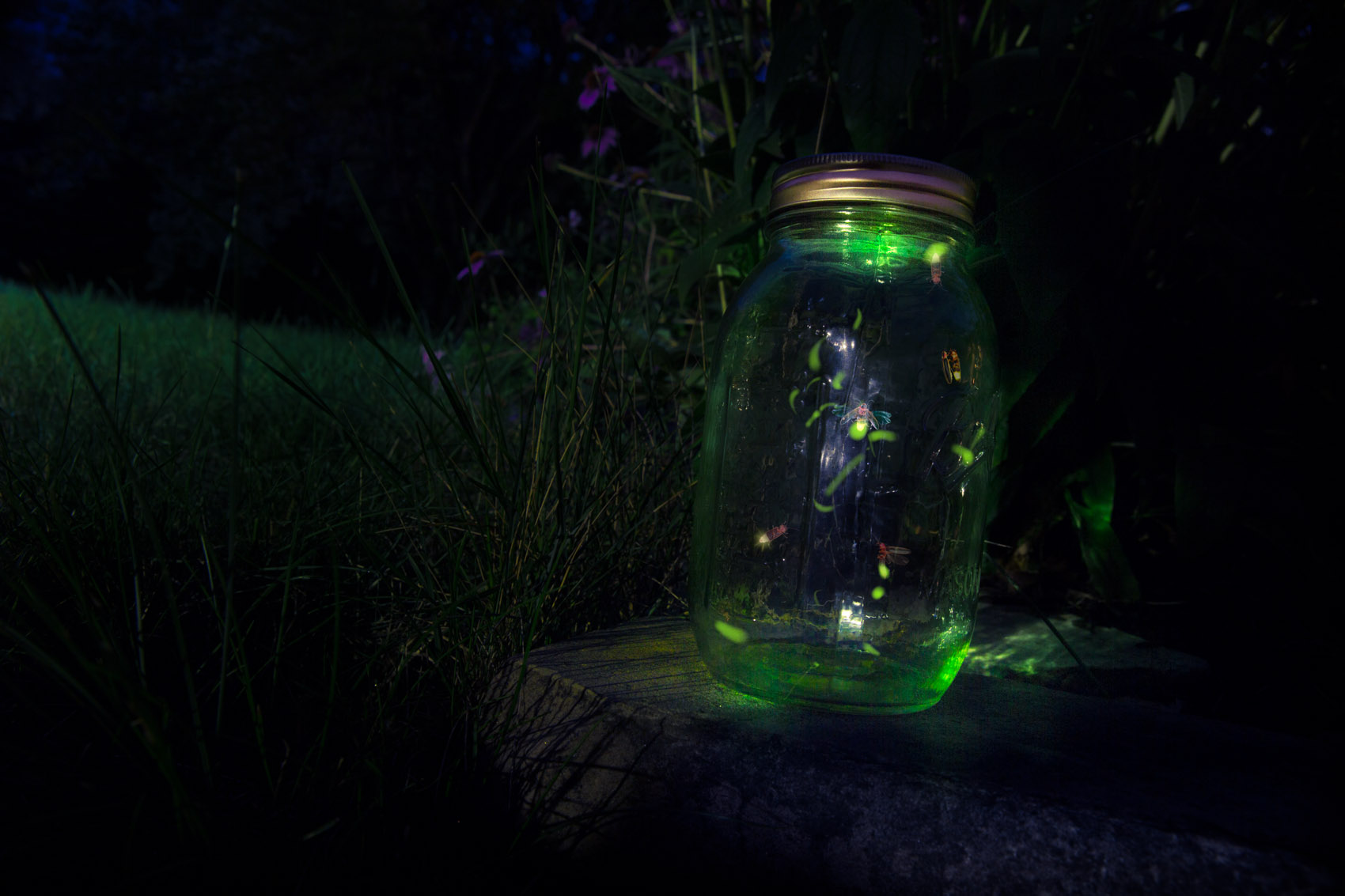 A jar of fireflies glows green in a dark forest.
