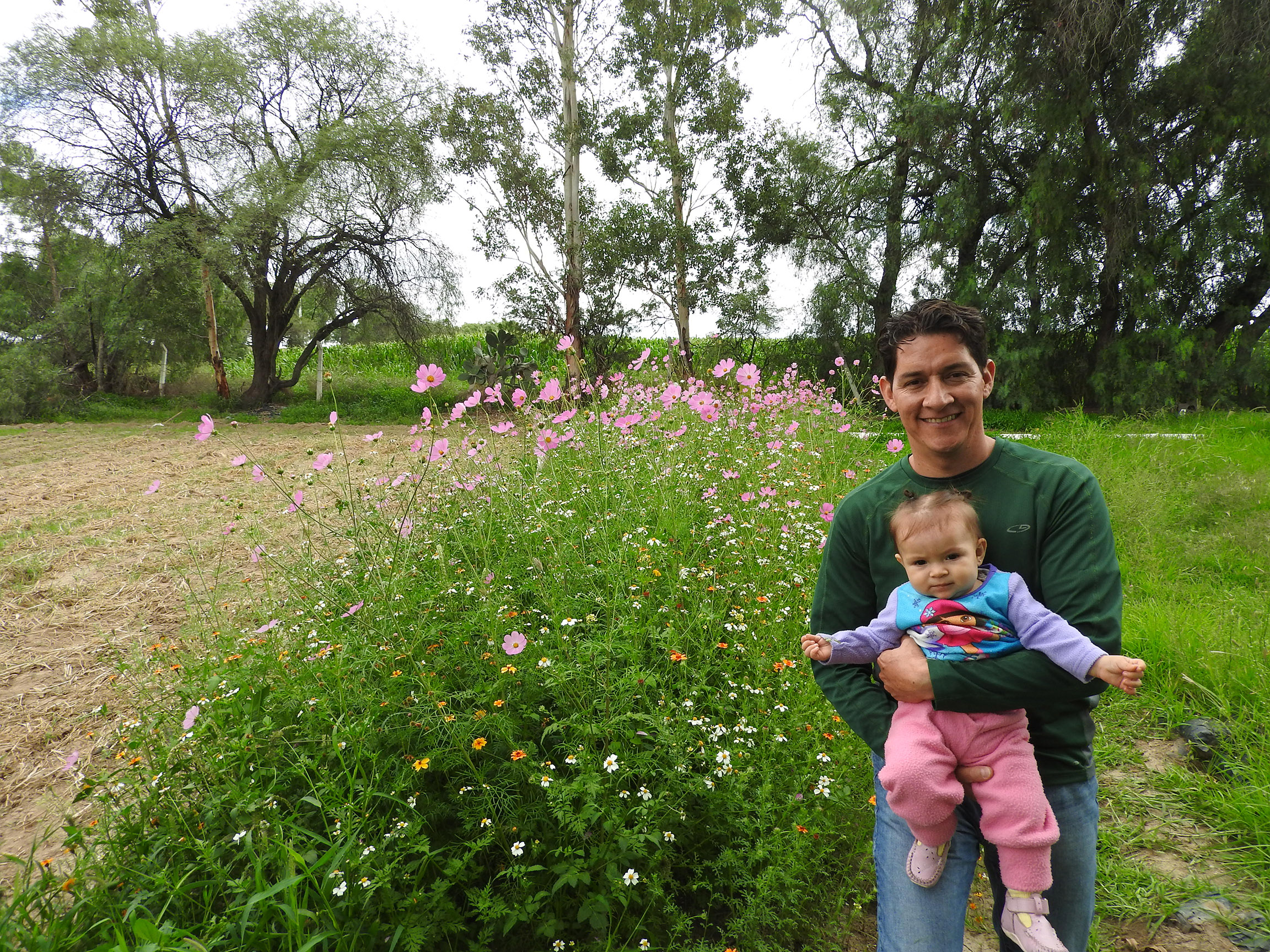 The author, Héctor Ávila Villegas, stands beside a pollinator habitat strip full of pink, white, and yellow flowers