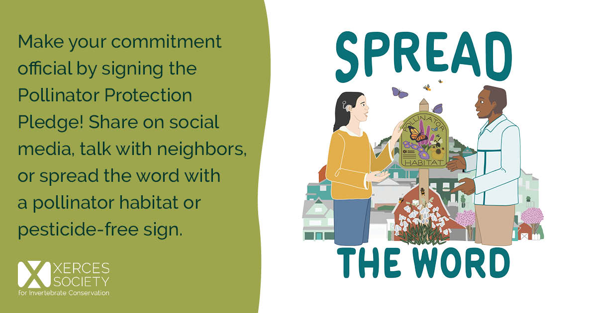 Social media graphic encouraging people to “Spread the Word,” with an illustration of two people standing by a pollinator habitat sign, flowers, bees, butterflies, and a neighborhood background. Text encourages signing the Pollinator Protection Pledge, sharing on social media, talking with neighbors, or using a pollinator habitat or pesticide-free sign