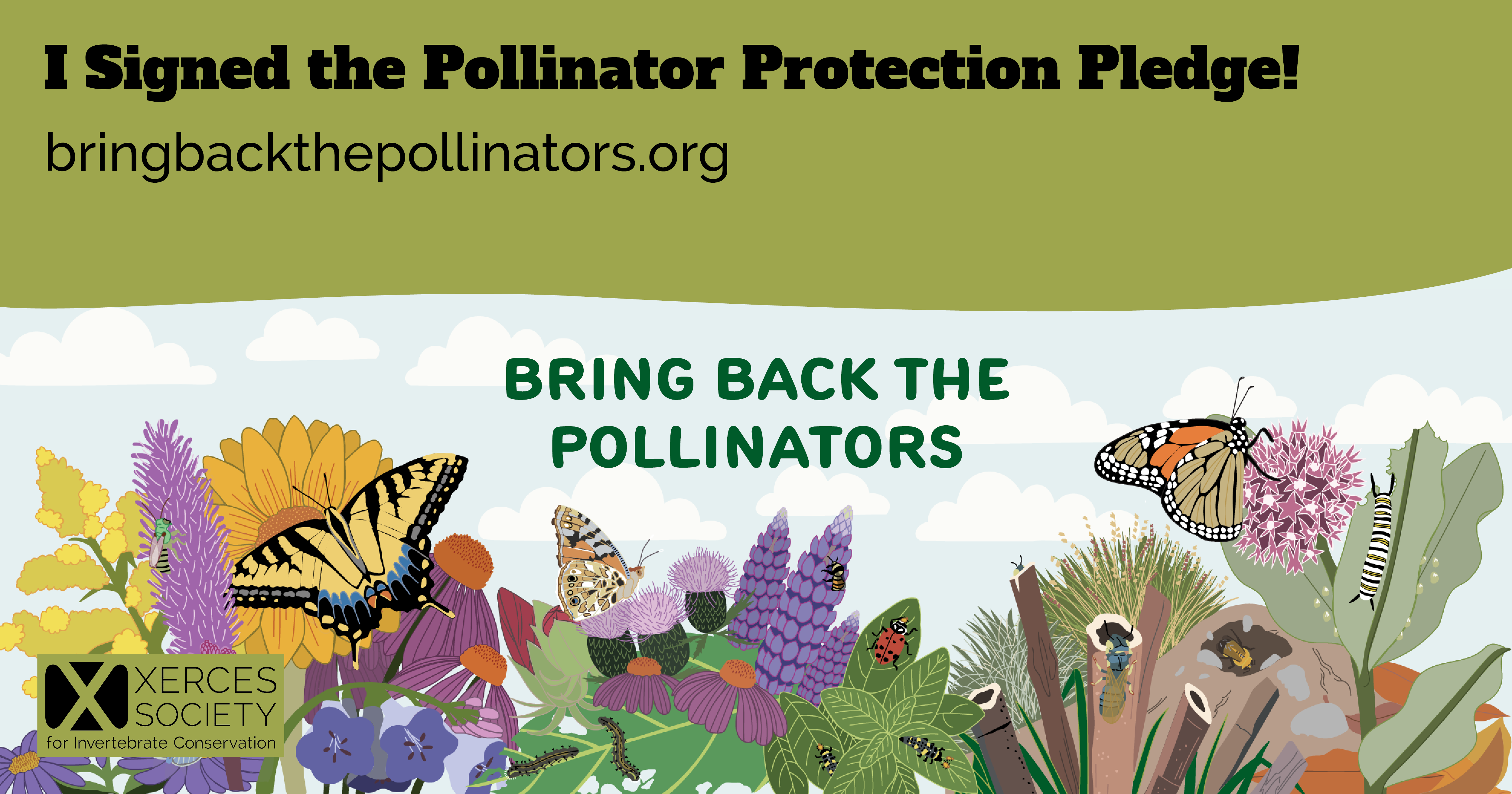 Horizontal graphic reading “I Signed the Pollinator Protection Pledge! bringbackthepollinators.org” and “Bring Back the Pollinators.” Colorful illustrated flowers fill the bottom half, with butterflies, caterpillars, bees, beetles, and other insects throughout. Xerces Society for Invertebrate Conservation logo appears in the lower left