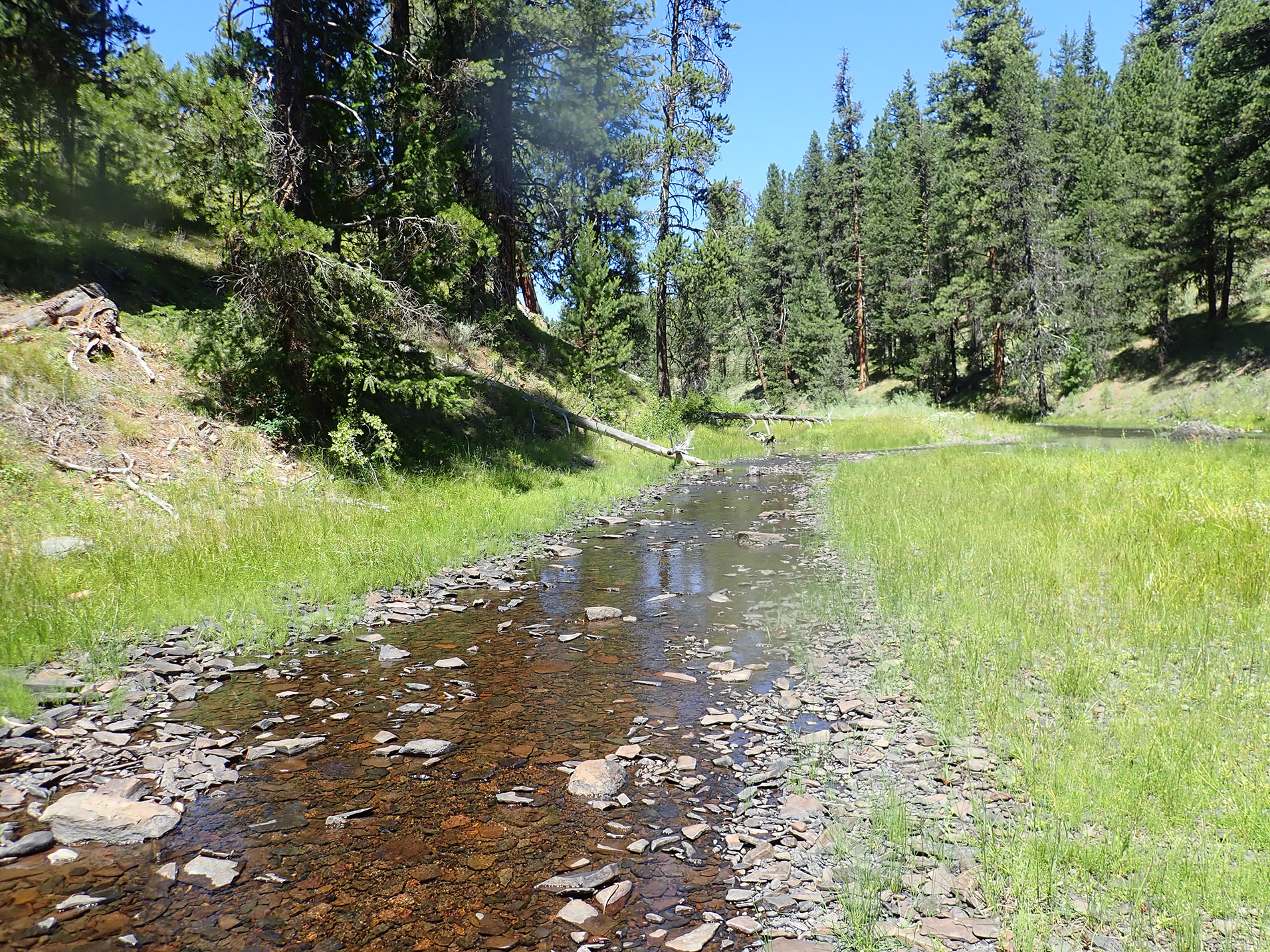 A creek with low water flows due to climate change.