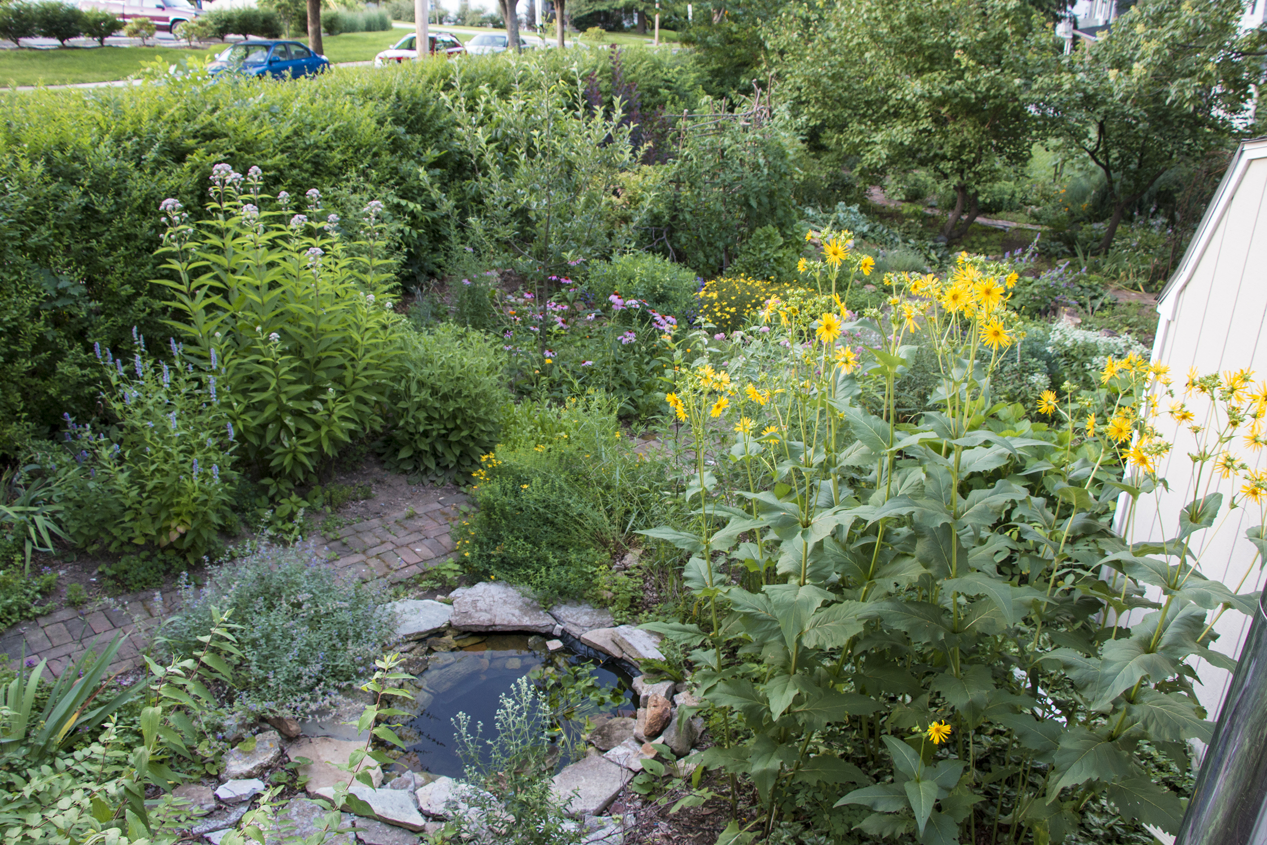 A urban garden full of pink, blue, purple, and yellow flowers surrounding a small pong.