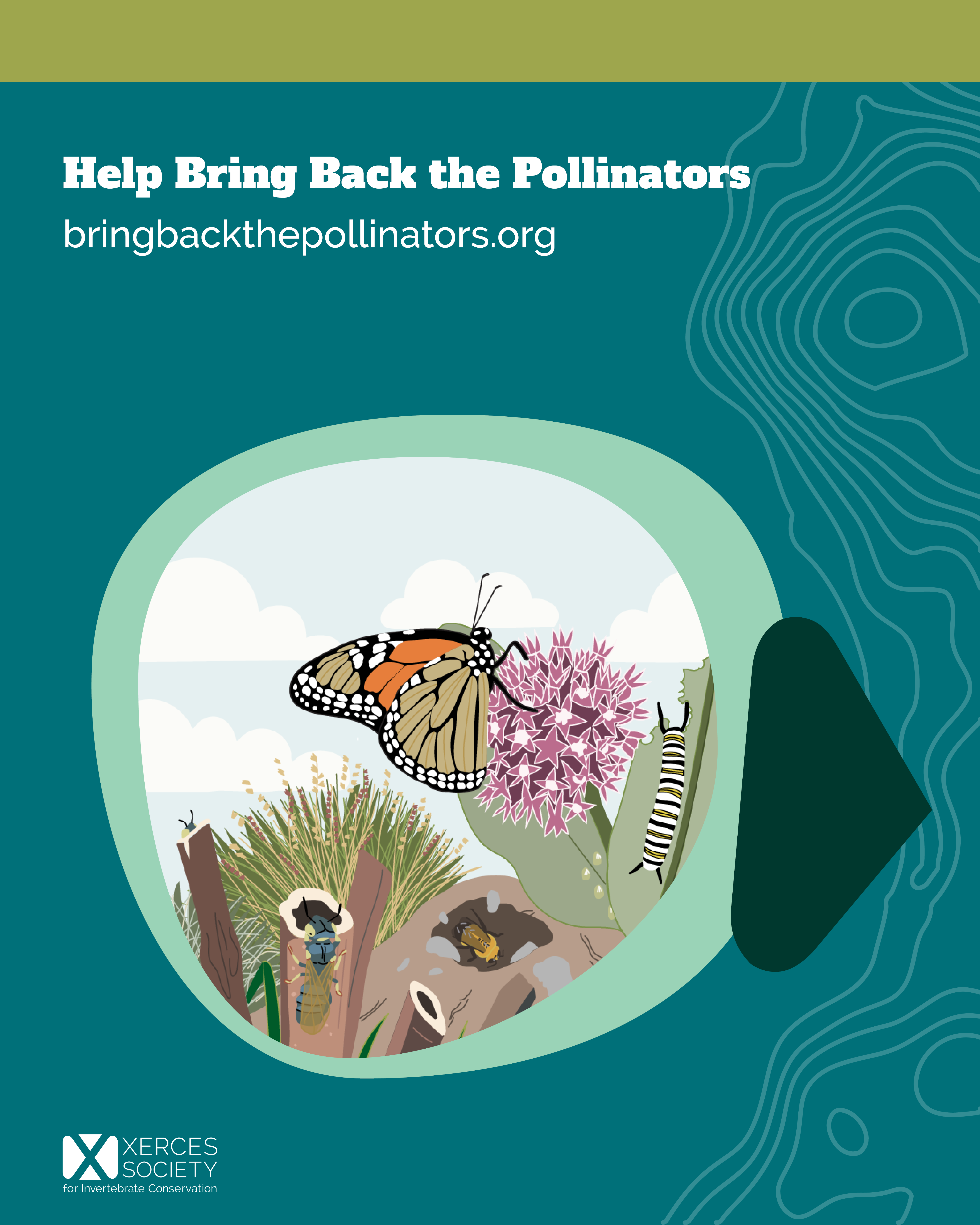 Social media graphic titled “Help Bring Back the Pollinators” with the URL bringbackthepollinators.org. A teal design frames an illustration of pollinator habitat with a monarch butterfly, monarch caterpillar, native plants, nesting stems, wood, and bees. The Xerces Society logo appears at the bottom