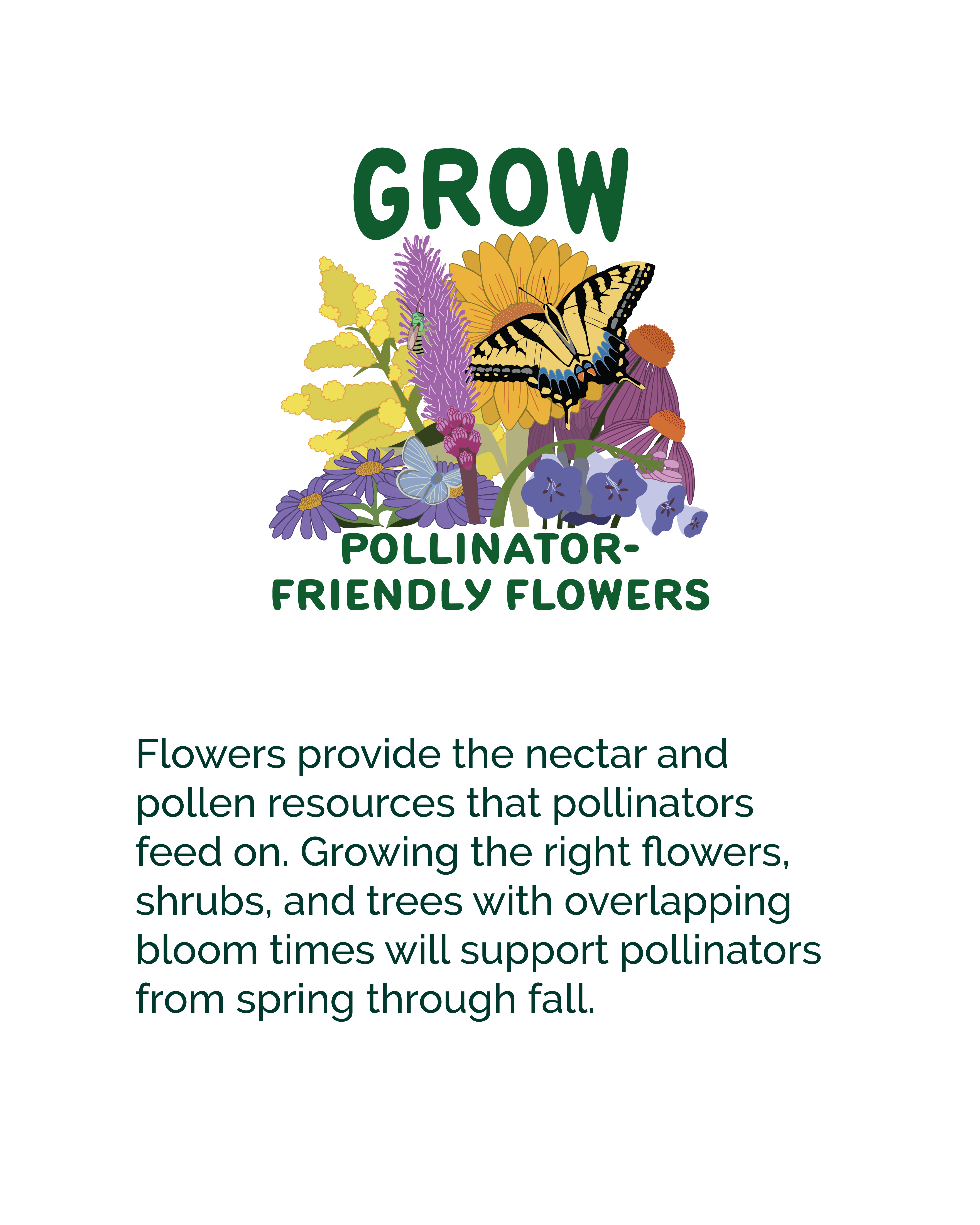 Social media graphic with an illustration of colorful pollinator-friendly flowers and butterflies. Text reads: “Grow pollinator-friendly flowers. Flowers provide the nectar and pollen resources that pollinators feed on. Growing the right flowers, shrubs, and trees with overlapping bloom times will support pollinators from spring through fall"