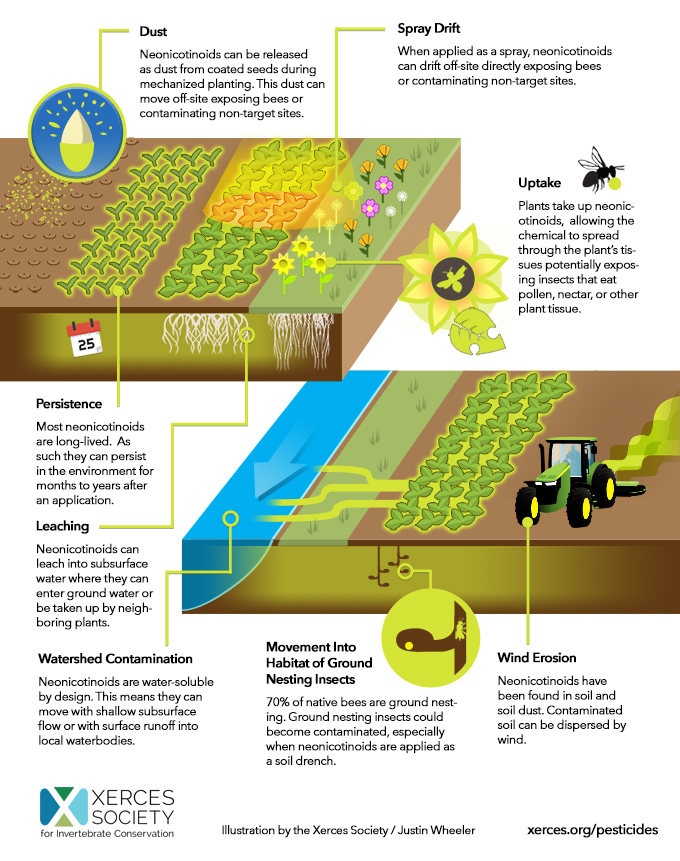 neonic graphic