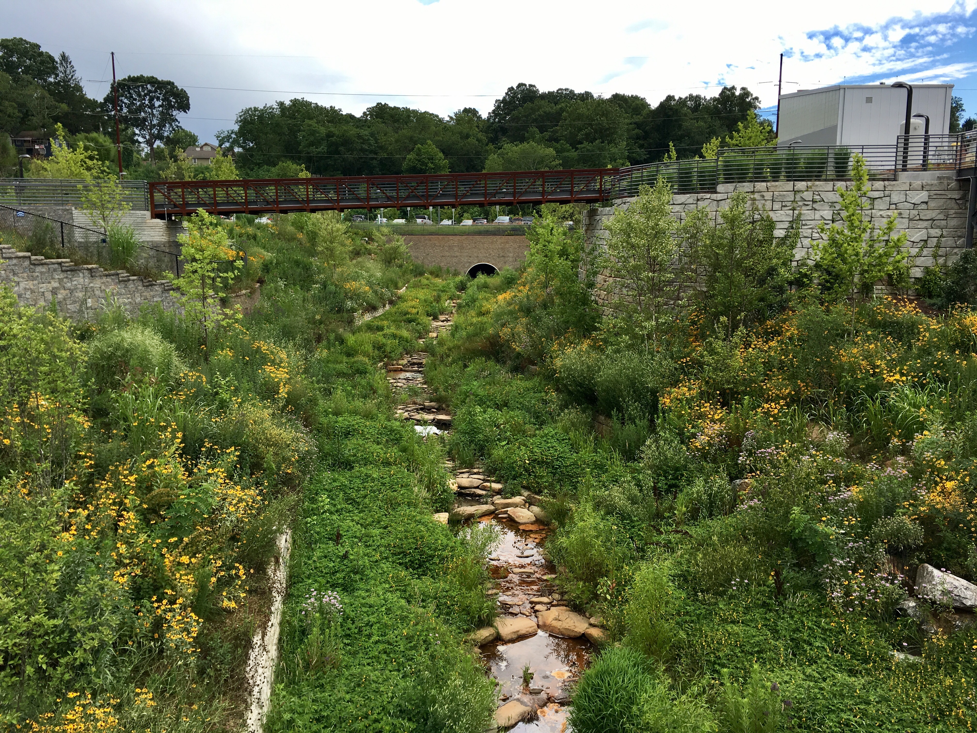 Lush pollinator habitat created on a brownfield site in Asheville, North Carolina, by the New Belgium brewery.