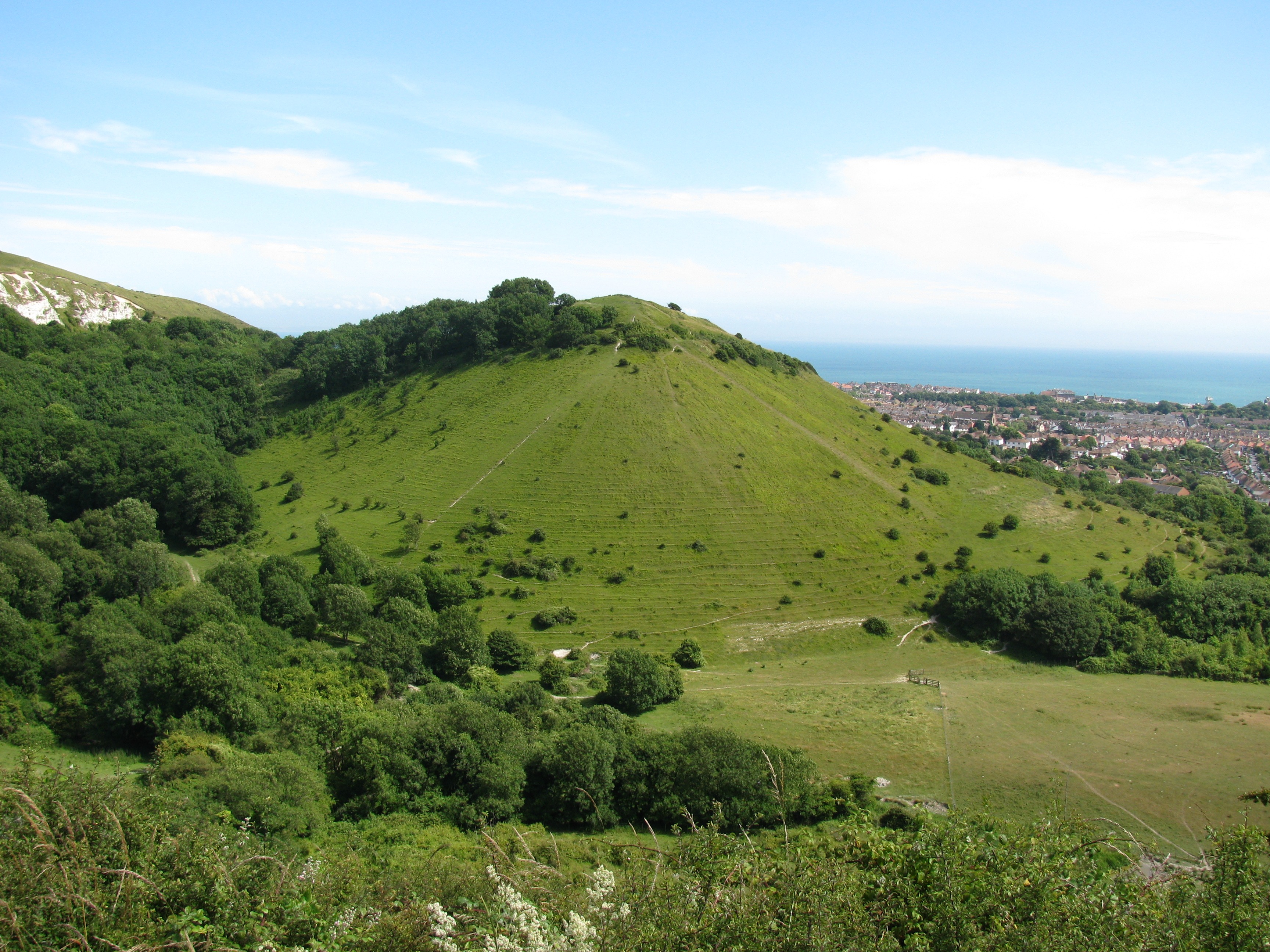 The rounded hills of Folkestone Downs in southern England.