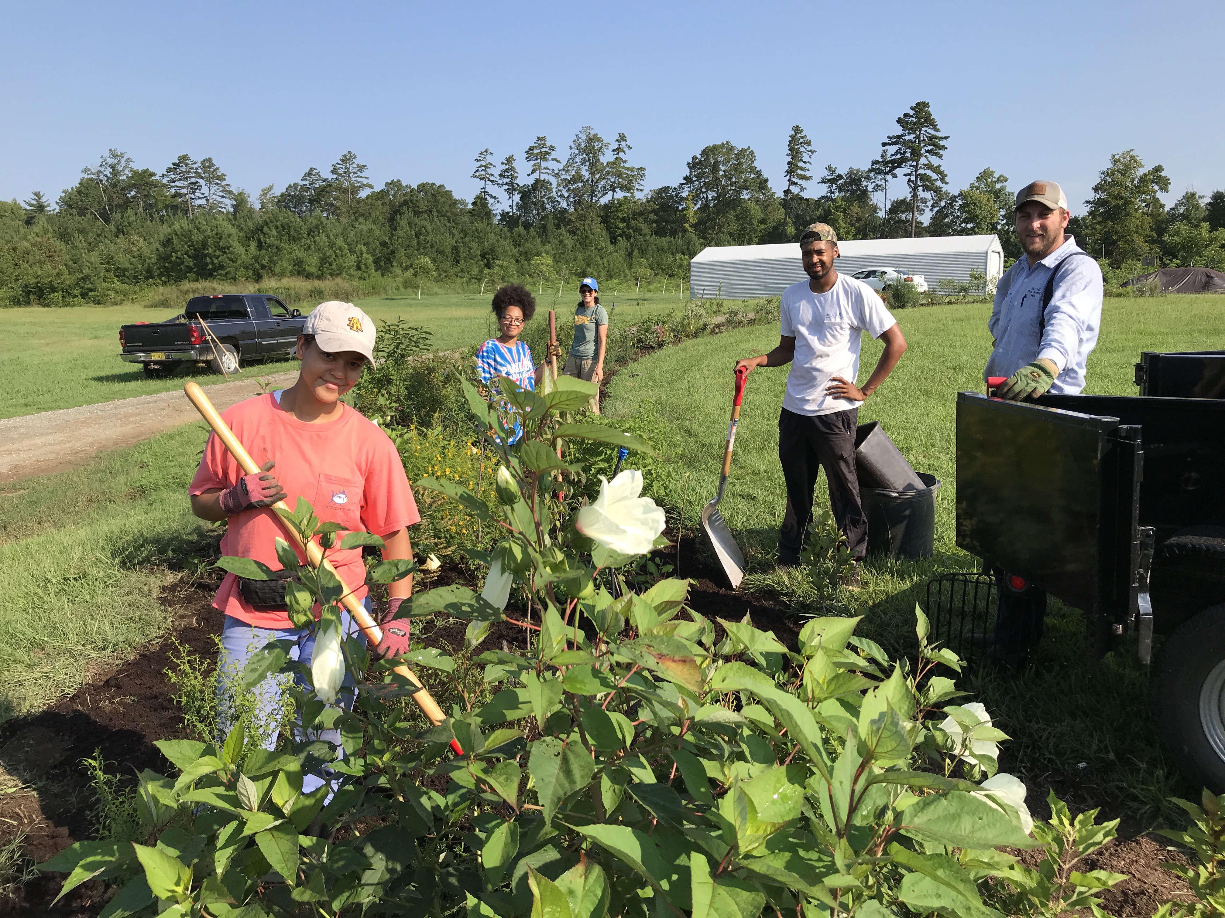 Farmers planting a strip of pollinator plants next to a field.