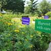 A garden with flowers and vegetables, with signs saying "Harvest with Care" and "Community/ Communidad"