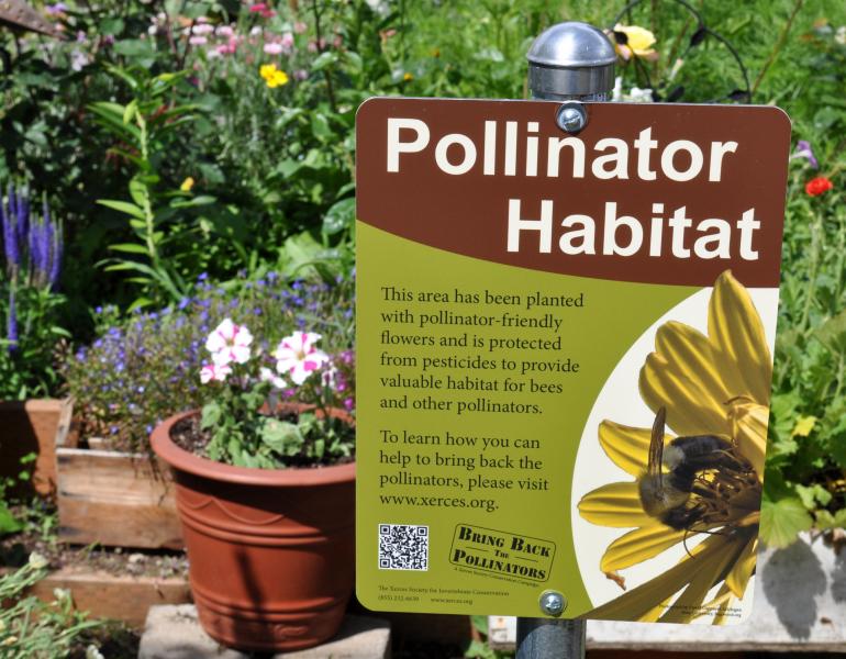 A Xerces Society Pollinator Habitat sign stands proudly among a blossoming garden.