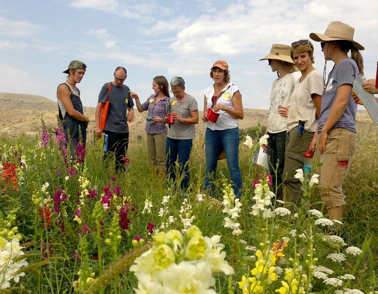 A group of people gather around a patch of blooming pollinator plants.