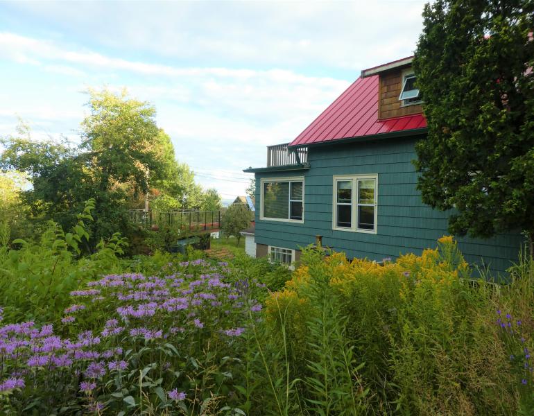 A teal-colored house is seemingly dwarfed by a profusion of plants growing around it, including purple and yellow blooms.