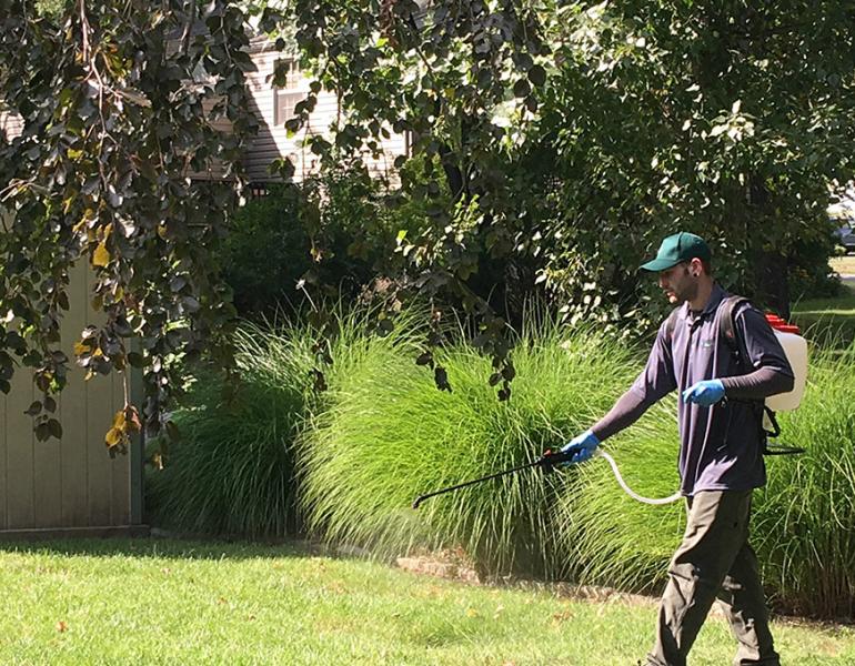 Person spraying pesticide in yard