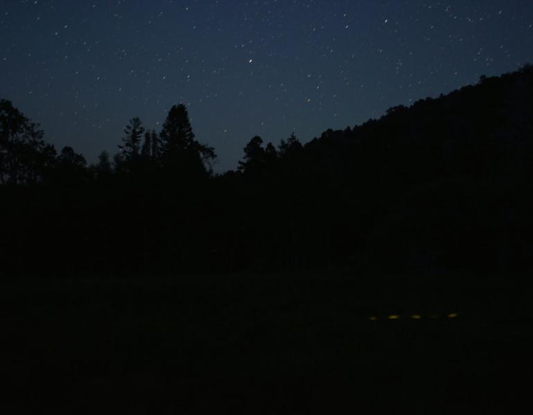 Fireflies flashing in the Nevada night 