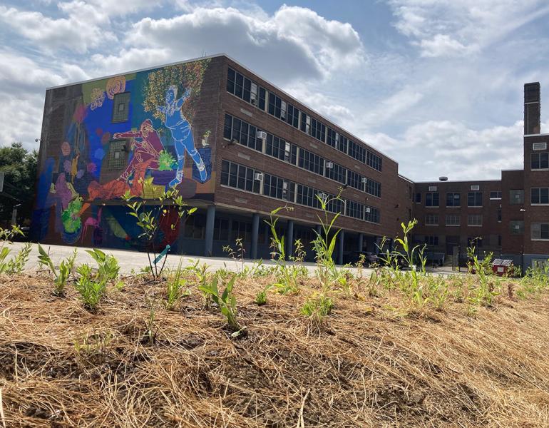 U School garden in front of the school, which is painted in murals