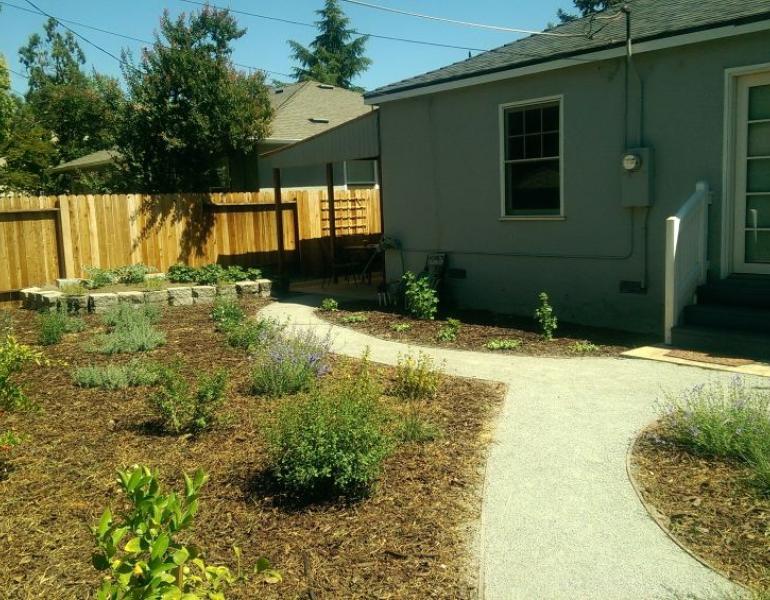 Native plants in mulch near the walkway of a home
