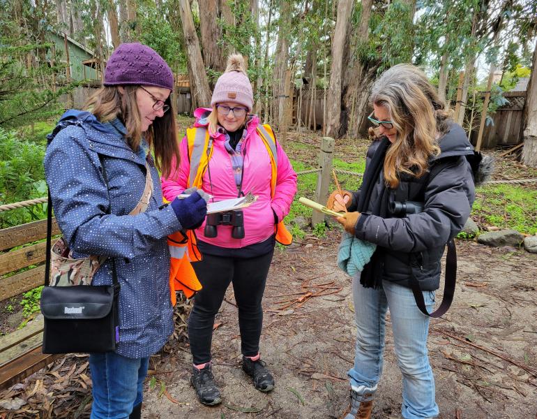 Volunteers count monarchs in Pacific Grove Monarch Butterfly Sanctuary, December 2021 (Photo: Candy Sarikonda)