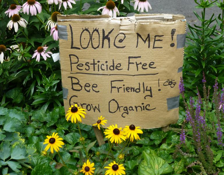Pesticide free homemade garden sign. Photograph by Mike Licht, Flickr.