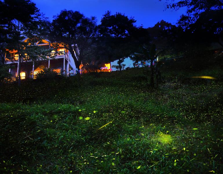 Fireflies at dusk outside a lit house. (Photo: Jerry Lai, Flickr.com.)