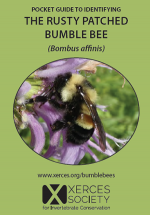 File:Bumblebee (8023382295).jpg - Wikimedia Commons