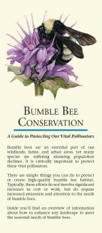 Bumblebee species guide - Bumblebee Conservation Trust