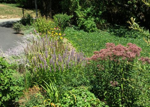 vaughan garden