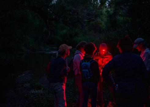 6 people in a forest circle around red light during a firefly survey (Photo: Julius Schlosburg courtesy of Rachel Laura)