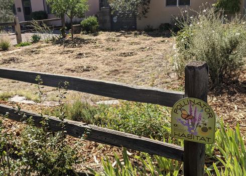 A front garden in which flowers have been planted. Small circles of recently dug soil surround each small, green plant. The garden is edged by a wooden fence made of two horizontal rails and widely spaced posts. In the foreground, attached to the fence is a sign. The sign is green, with colorful flowers and an orange butterfly and brown lettering that says “pollinator habitat”.