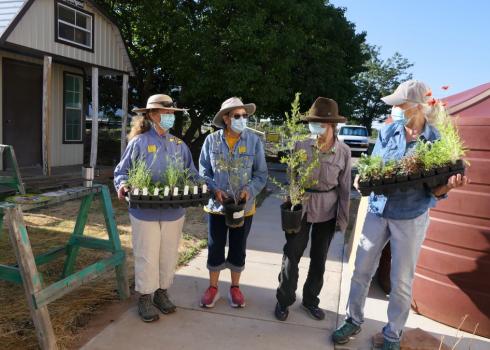 Santa Fe Extension Master Gardeners and the habitat kits they are about plant at the Santa Fe County Extension Office Demonstration Gardens. The eighteen species in the kits are native, climate-resilient species which will support a diversity of native pollinators across seasons. (Photo: Kaitlin Haase / Xerces Society)