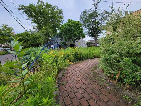 Brick pathway through a lush pollinator garden with tall green plants, yellow flowers, trees, and a blue metal structure near a community center