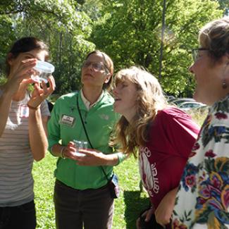 bee monitoring
