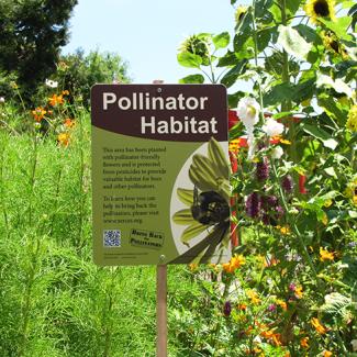A Xerces Society pollinator habitat sign stands proudly in a lush garden.