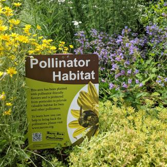 A pollinator habitat sign sits proudly among many bright blooms.