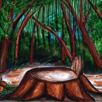 In this hand-drawn/hand-painted image, a grove of trees is shown, with a cut stump and a dead monarch with tattered wings in the foreground.