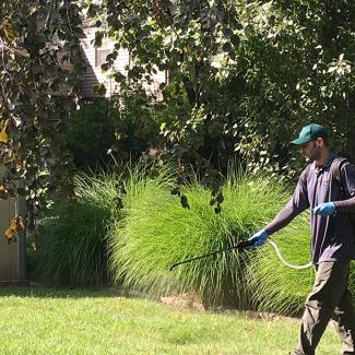 Person spraying pesticide in yard