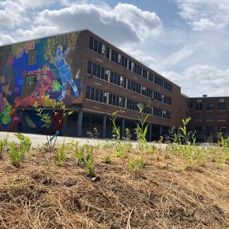 U School garden in front of the school, which is painted in murals