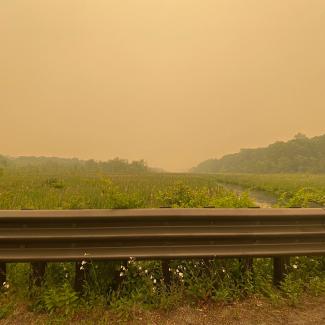 A roadside field, with wildflowers, amidst the haze of wildfire smoke. The air is thick, and it is difficult to see far at all