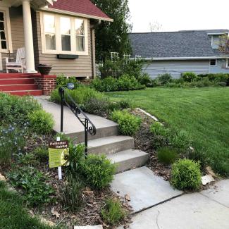 Front yard of a house with a small pollinator habitat garden along the walkway and steps, featuring native plants and flowers, a “Pollinator Habitat” sign, and a neatly mowed lawn surrounding the garden beds.