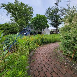 Brick pathway through a lush pollinator garden with tall green plants, yellow flowers, trees, and a blue metal structure near a community center