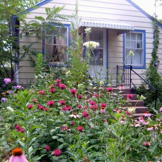 A small house with light paint and bright blue trim is dwarfed by the lush garden in the foreground, featuring flowers of a variety of shapes, sizes, and colors.