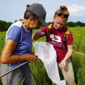 Two women, one with dark hair and a hat, and one with bright red hair, look at a white insect net while standing in a grassy field.