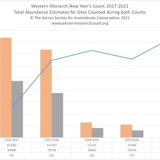 Graph showing results from surveys of overwintering monarchs in California. The number of monarchs has fallen for several years, so the height of the bars gets shorter and shorter to the right of the graph