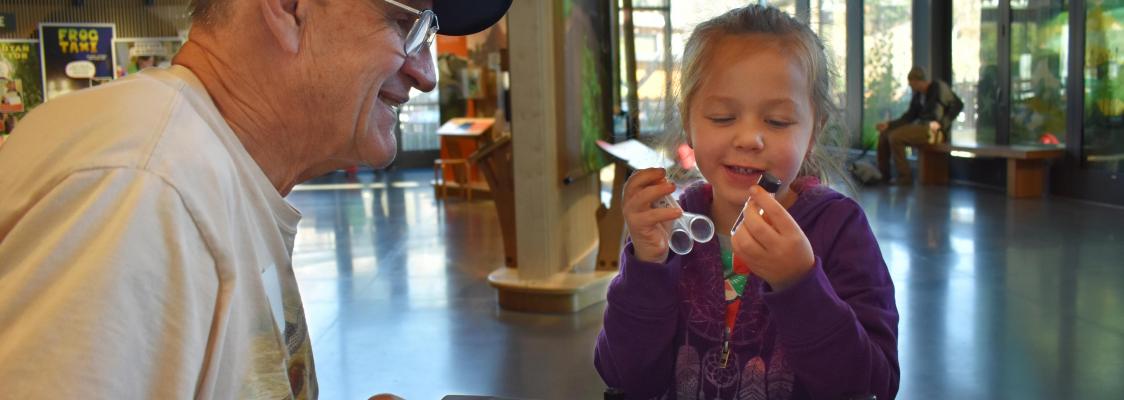 Xerces ambassador showing invertebrates to a child 