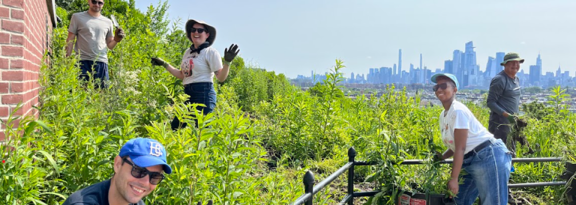 A group of smiling volunteers plant a Xerces habitat kit in front of distant city landscape