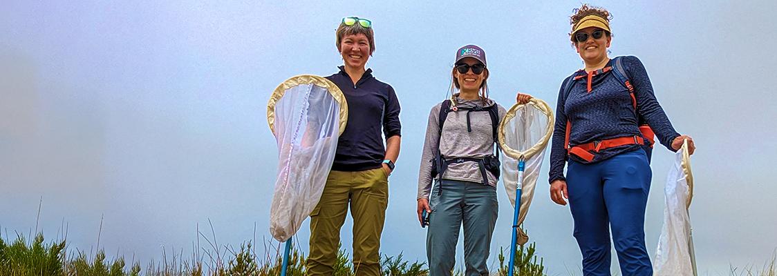Three Xerces biologists stand in imperiled butterfly habitat with insect nets in hand, posing before they survey for a endangered species